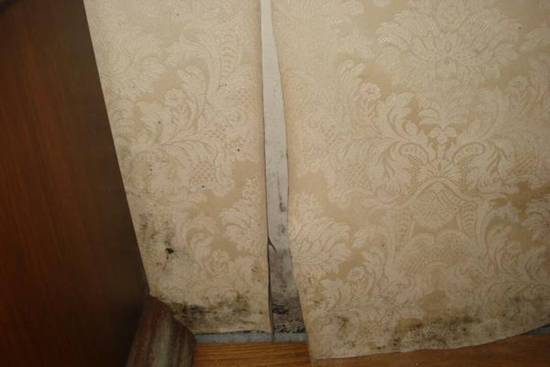 Gyventojai kratosi šildymo elektra