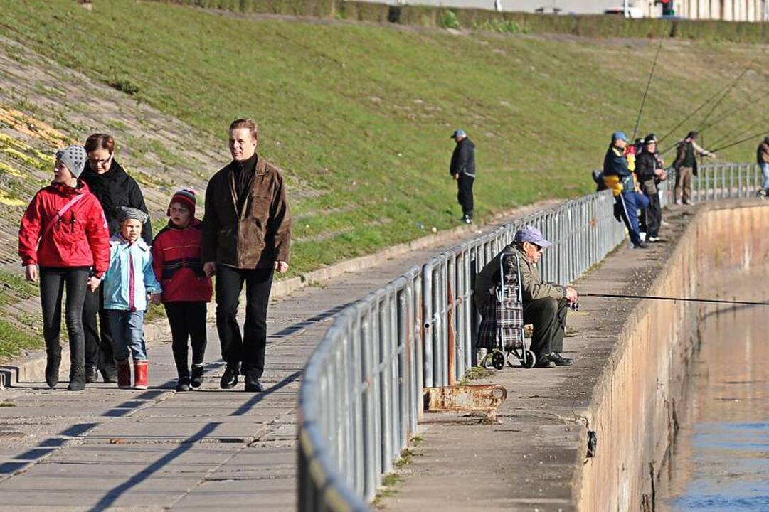 Nemuno krantinės žvejai žuvį vilioja žole