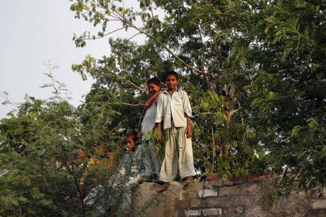 Dėl pagalbos Pakistanui Vakarai varžosi su ekstremistais