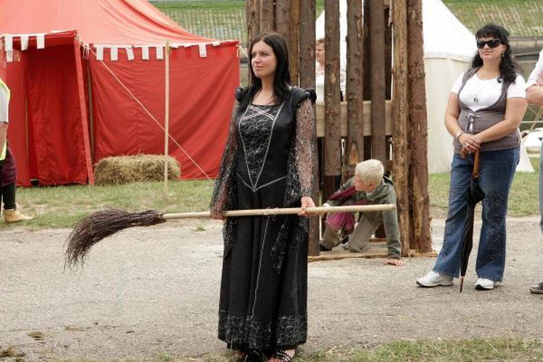 Mieste - "Hanza Kaunas 2010" šurmulys (papildyta)