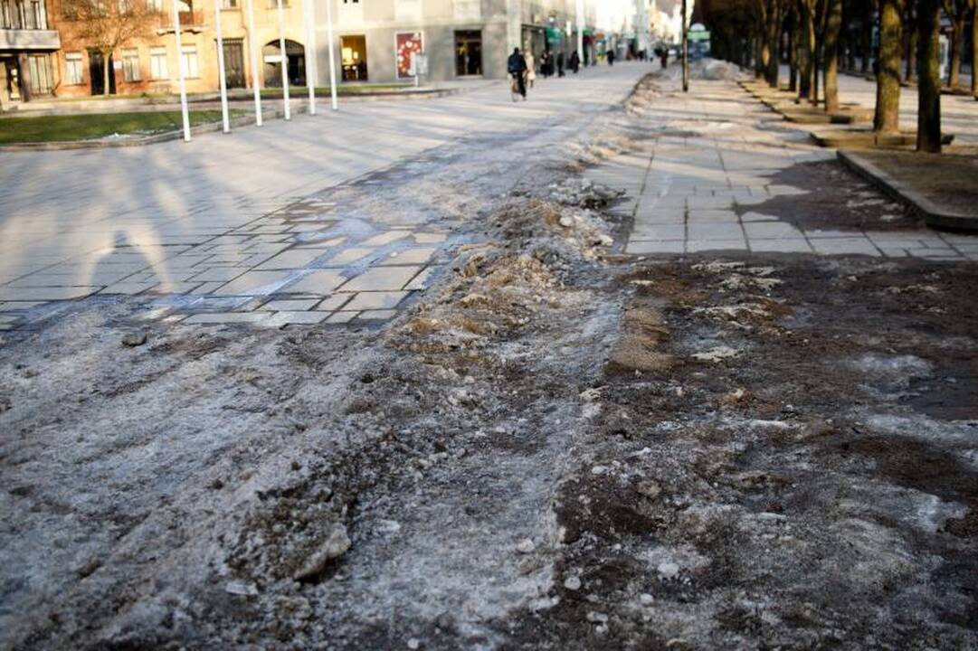 Švenčių išvakarėse purviną Laisvės alėją žada iškuopti 