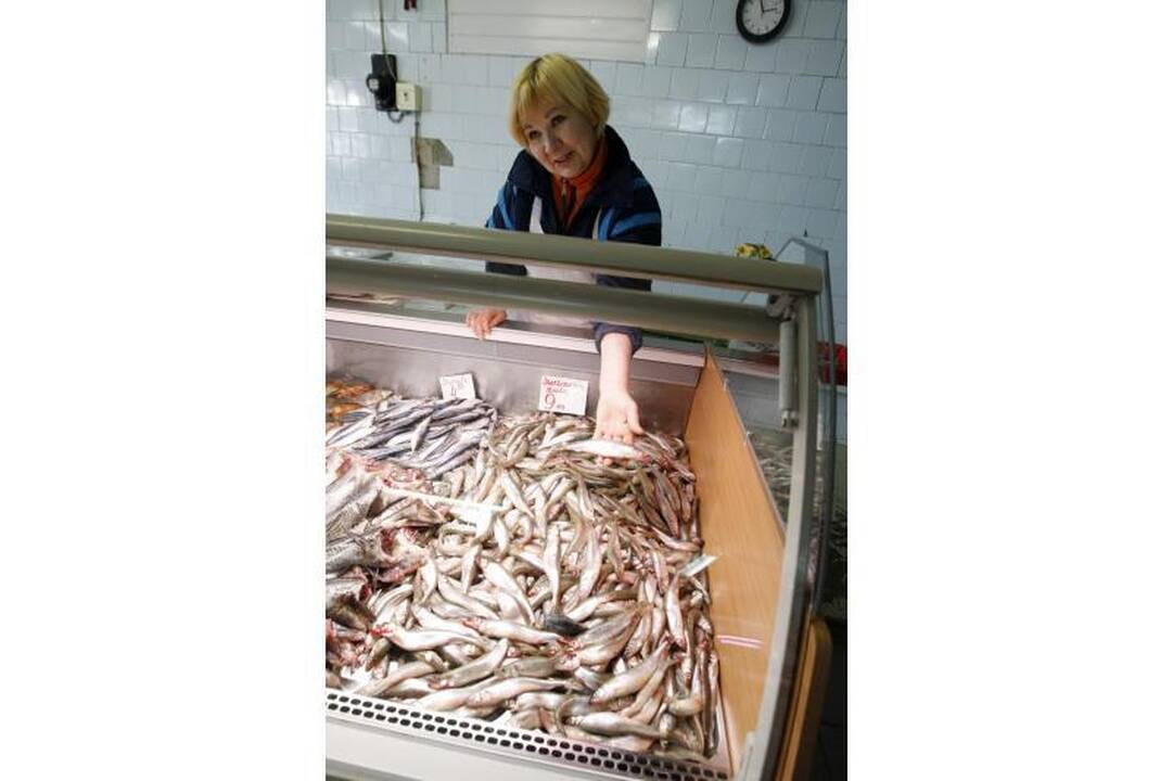  Klaipėdos turguose atpigusios stintos priviliojo pirkėjus