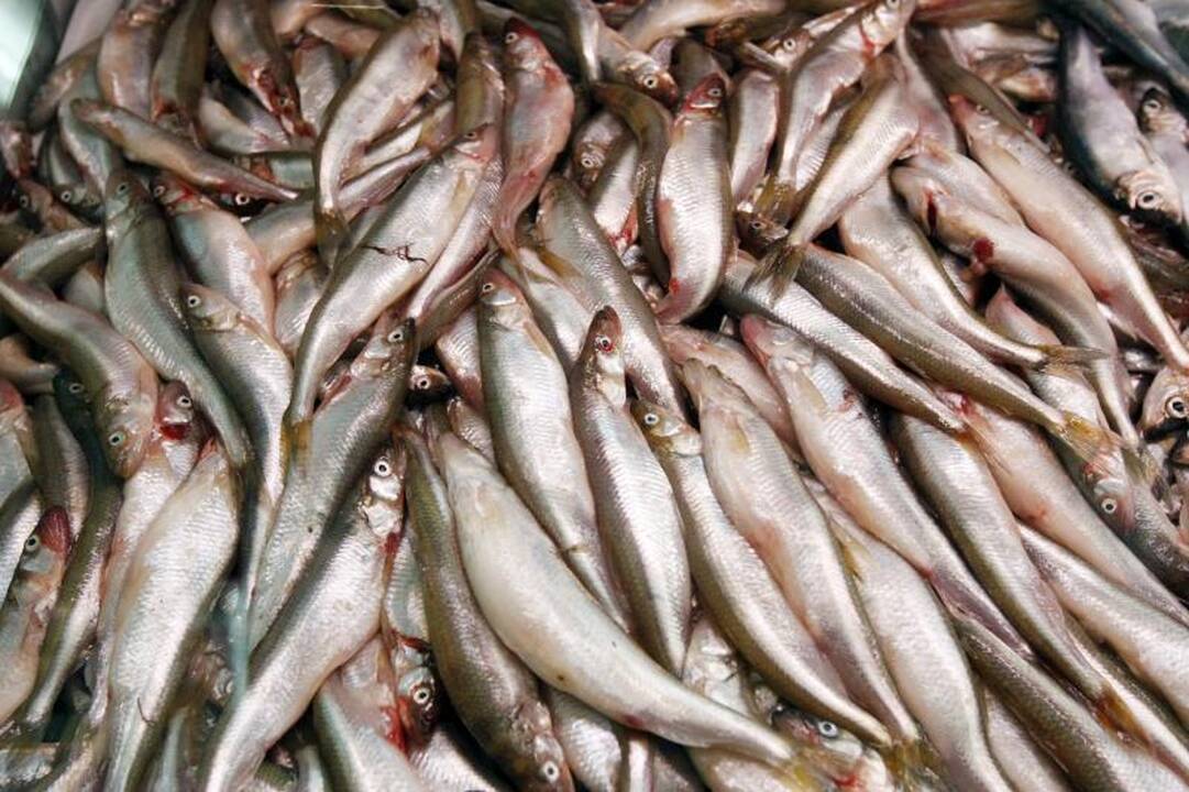  Klaipėdos turguose atpigusios stintos priviliojo pirkėjus