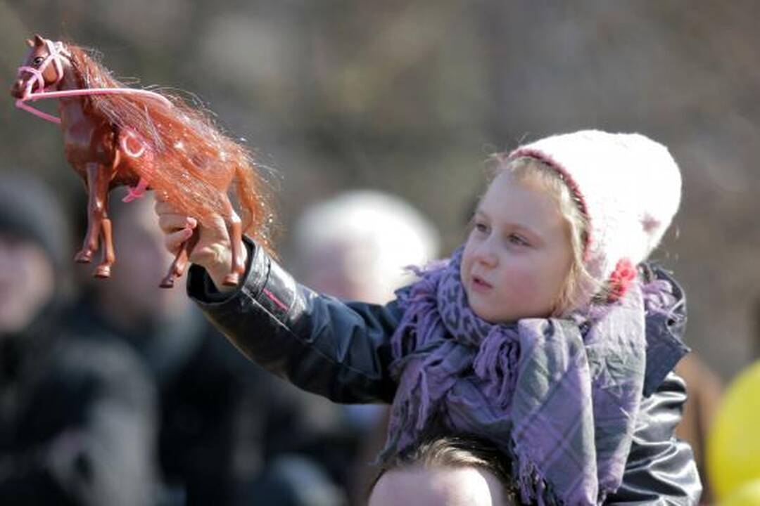 V.Zatleras: vienybės jausmui reikia suteikti naujas formas