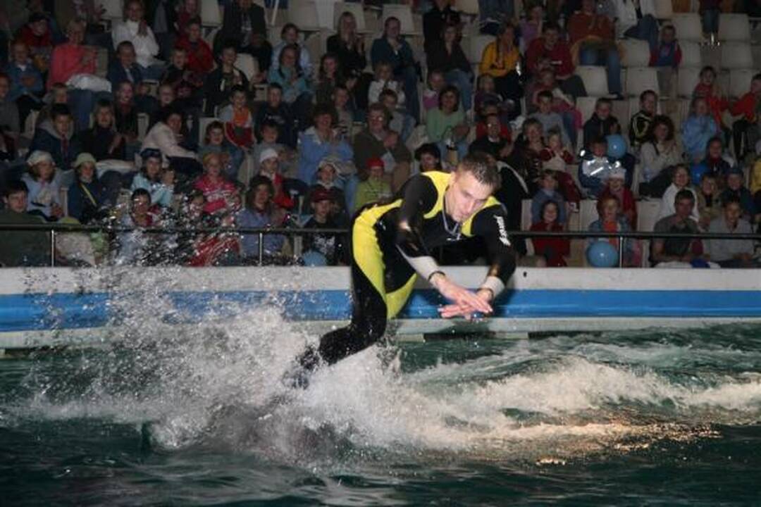 Delfinariumas uždaromas rekonstrukcijai, delfinai skraidinami į Graikiją