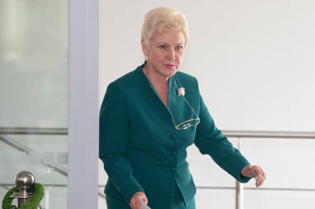 Kuris susipainiojo: VSD direktorius ar I.Degutienė?