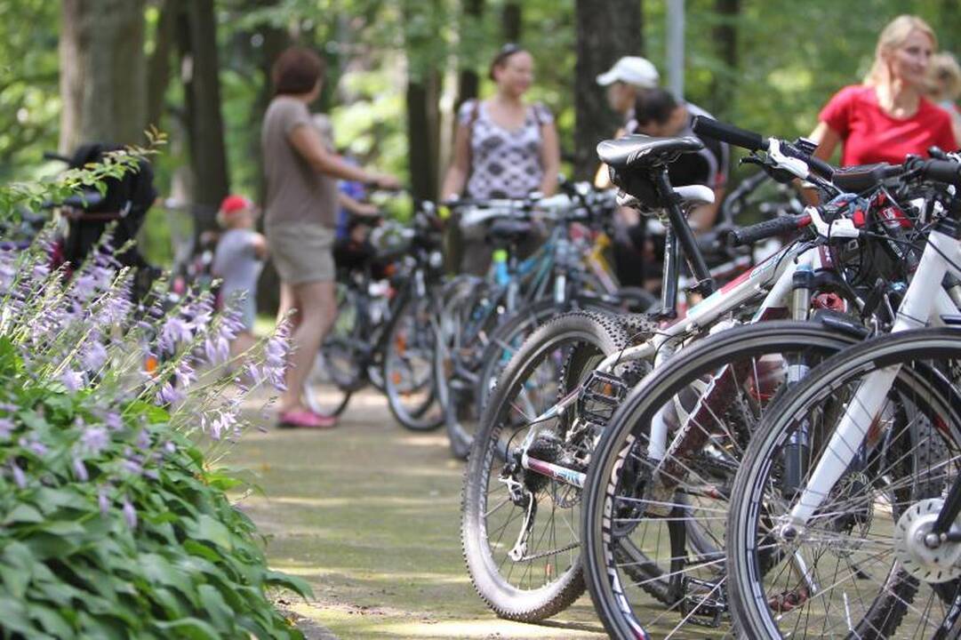 Dviračių entuziastai     tyrinėjo Vilnių