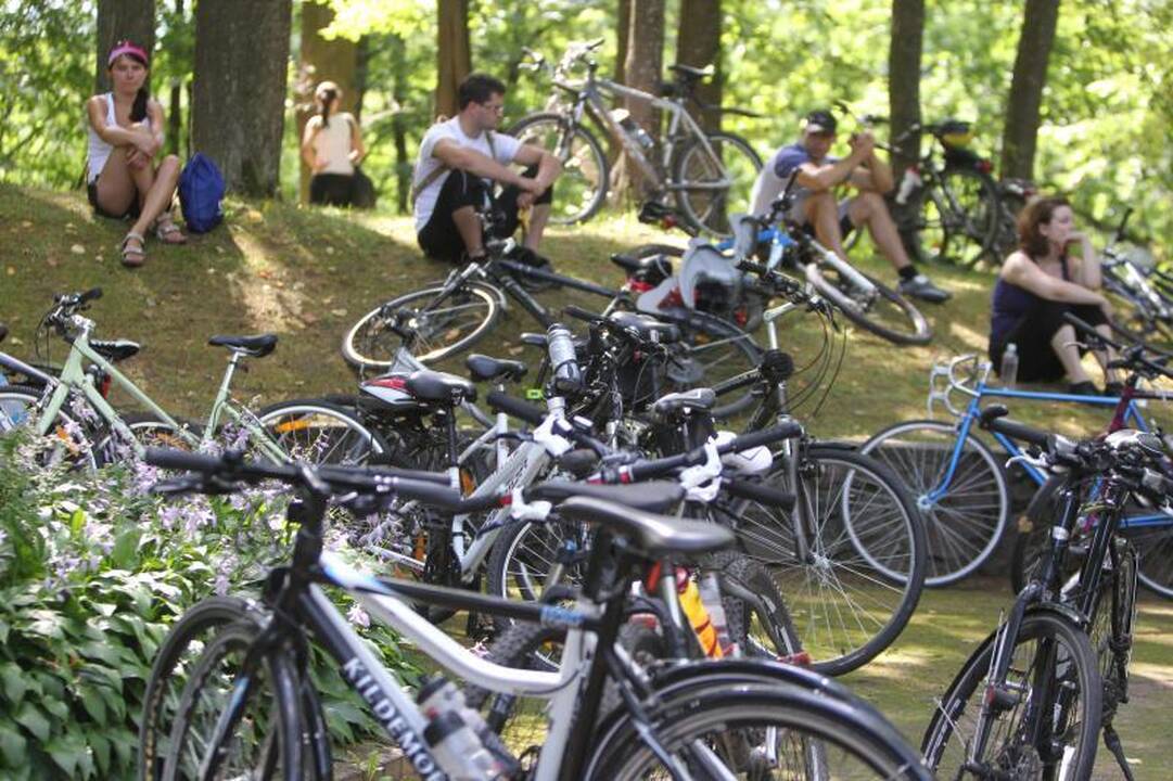 Dviračių entuziastai     tyrinėjo Vilnių
