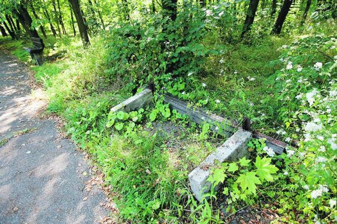 Klaipėdos poilsio parkui – naujas apdaras