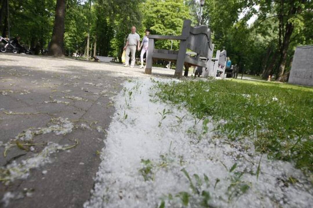 Skulptūrų parke – dėmesys istorijai 