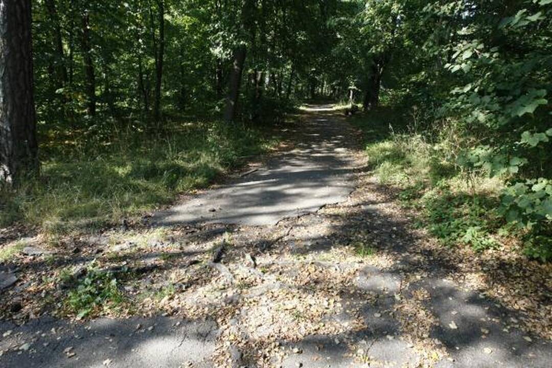 Klaipėdos poilsio parkui – naujas apdaras