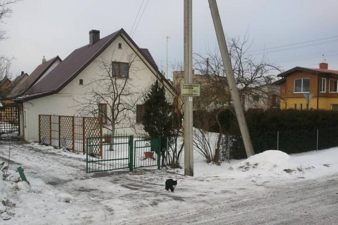 Neblaivi Garliavos seniūnė nuvažiavo nuo kelio ir trenkėsi į tvorą (papildyta)
