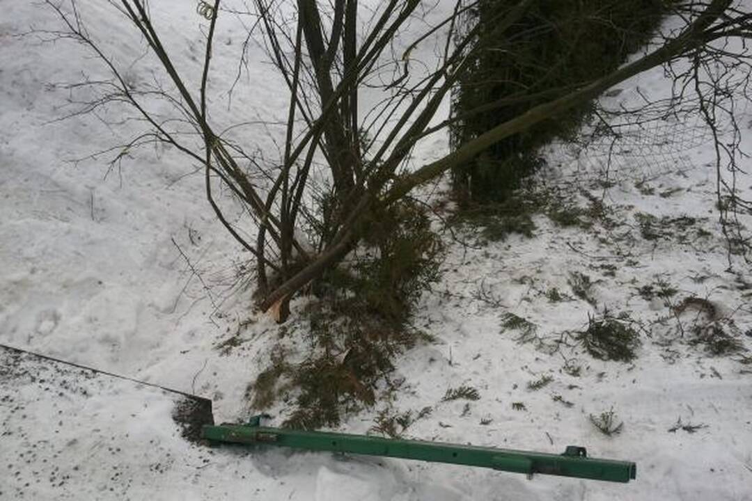 Neblaivi Garliavos seniūnė nuvažiavo nuo kelio ir trenkėsi į tvorą (papildyta)