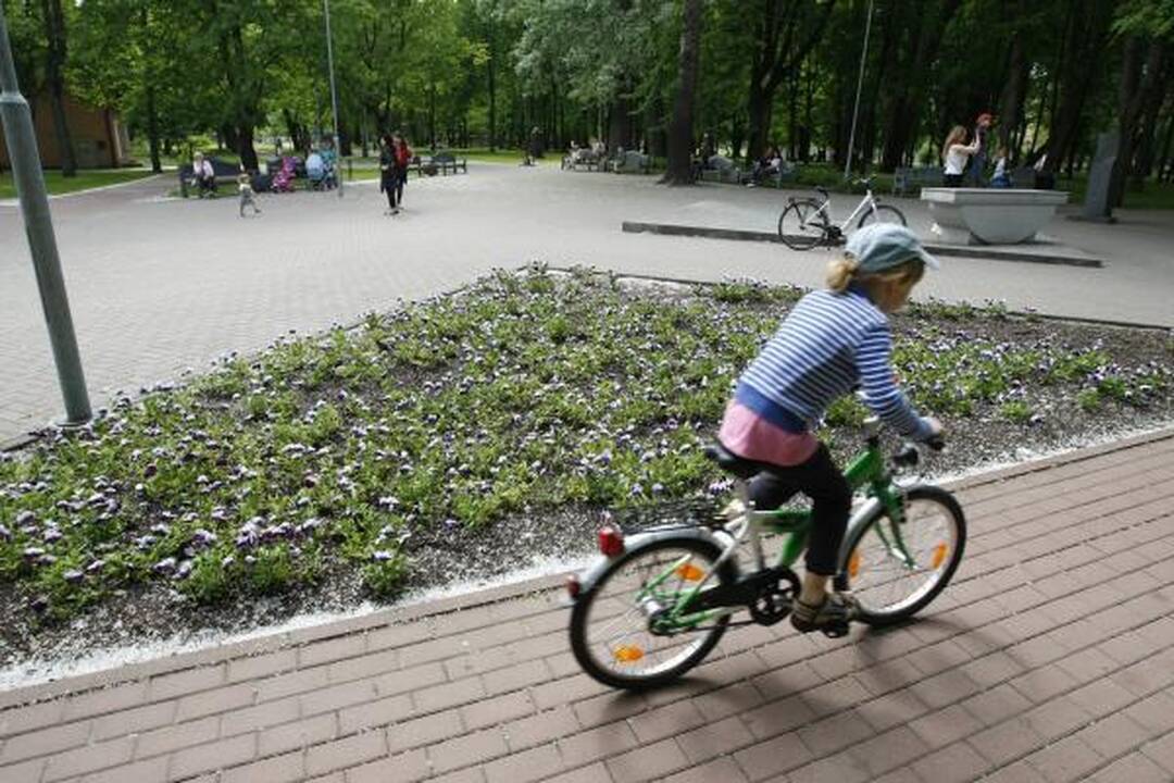 Skulptūrų parke – dėmesys istorijai 