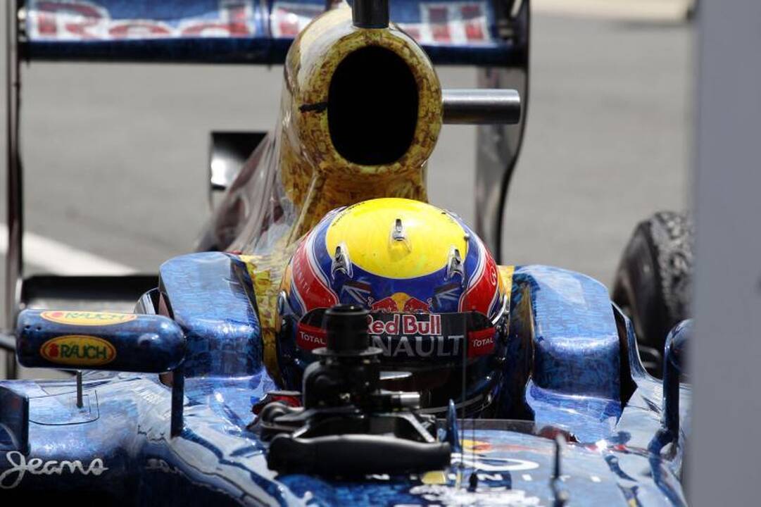 F-1 lenktynėse – paukščio išgyvenimo drama