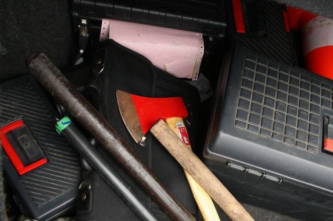 Lenkijos sirgaliai apšlapino „Lietuvos ryto“ automobilį (papildyta)
