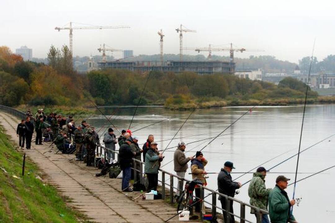 "Kauno diena" prognozuoja: areną tikrai pastatys