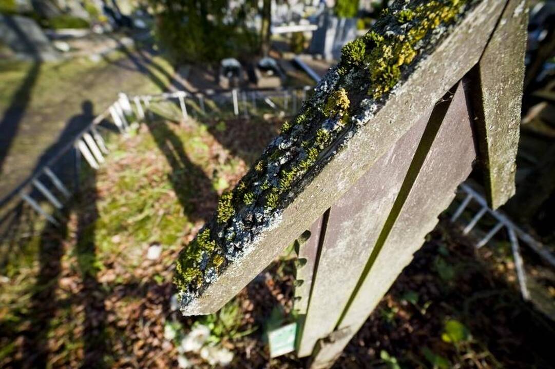 Kapinėse žmonės bendravo su gyvaisiais ir mirusiaisiais