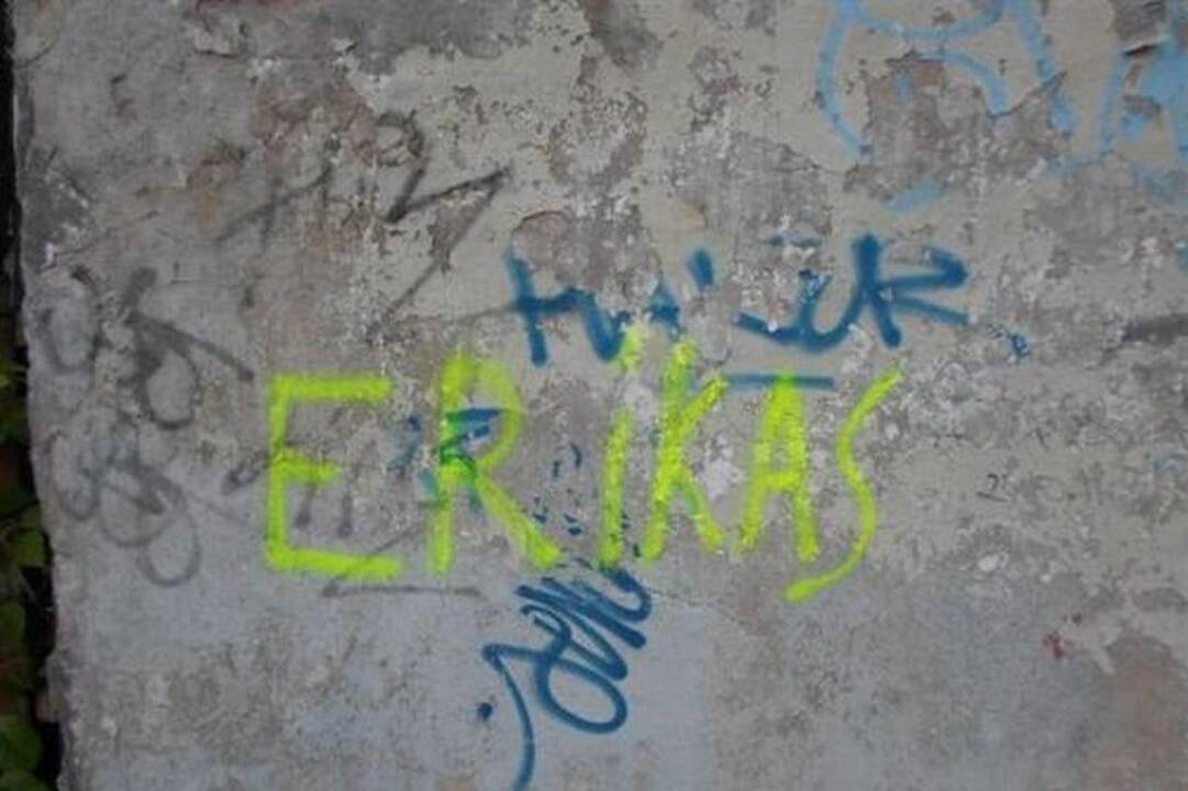Nepilnametis nesislėpdamas „truputį dažė" sienas