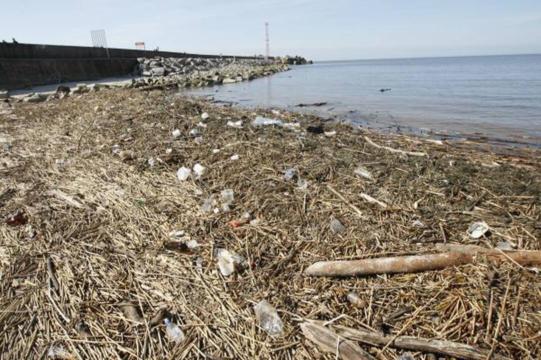 Klaipėdos paplūdimiuose: dvokas ir šiukšlės