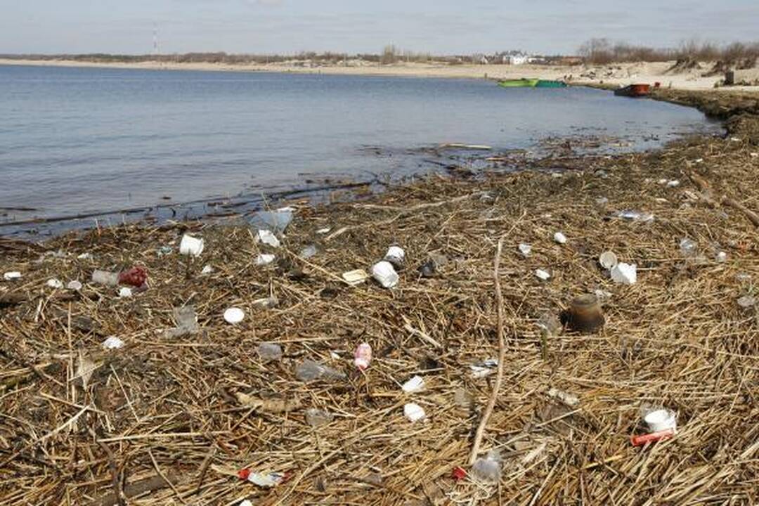 Klaipėdos paplūdimiuose: dvokas ir šiukšlės