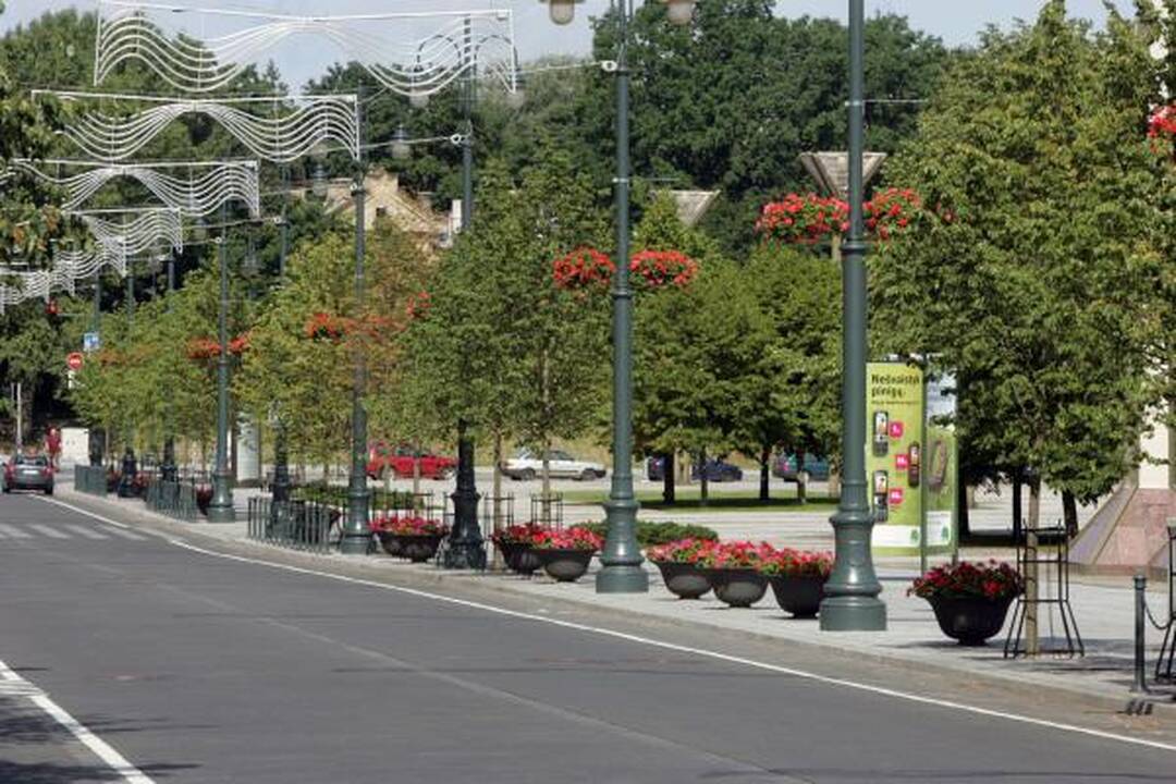 Gedimino prospekte – netikri rudens ženklai