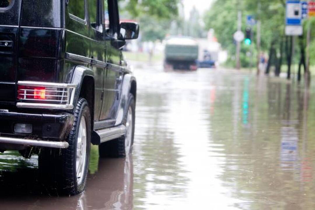 Liūtis ilgam paralyžiavo Vilniaus transportą