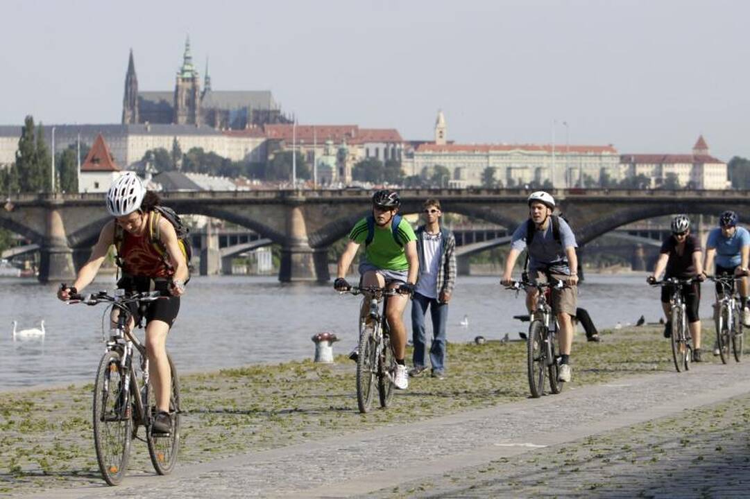 Čekai streikuoja dėl vyriausybės taupymo priemonių