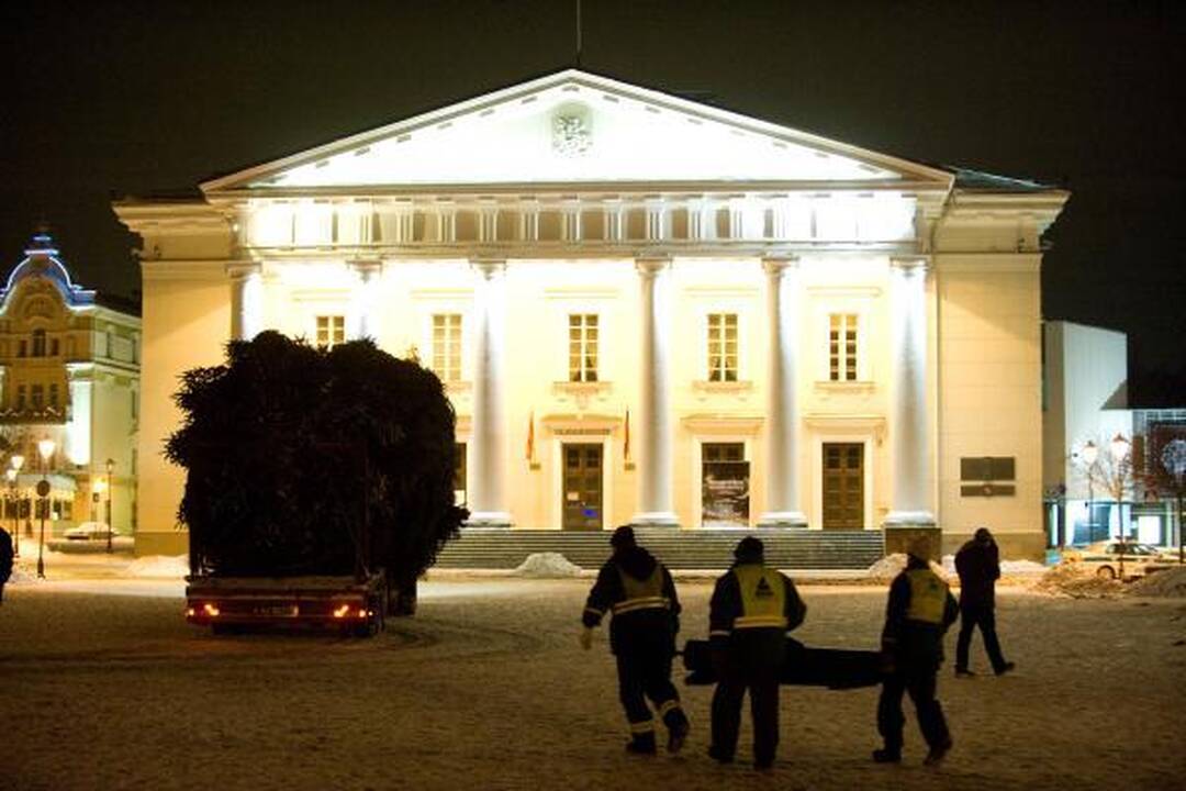 Šiąnakt į Vilniaus Rotušės aikštę atkeliavo Kalėdų eglė