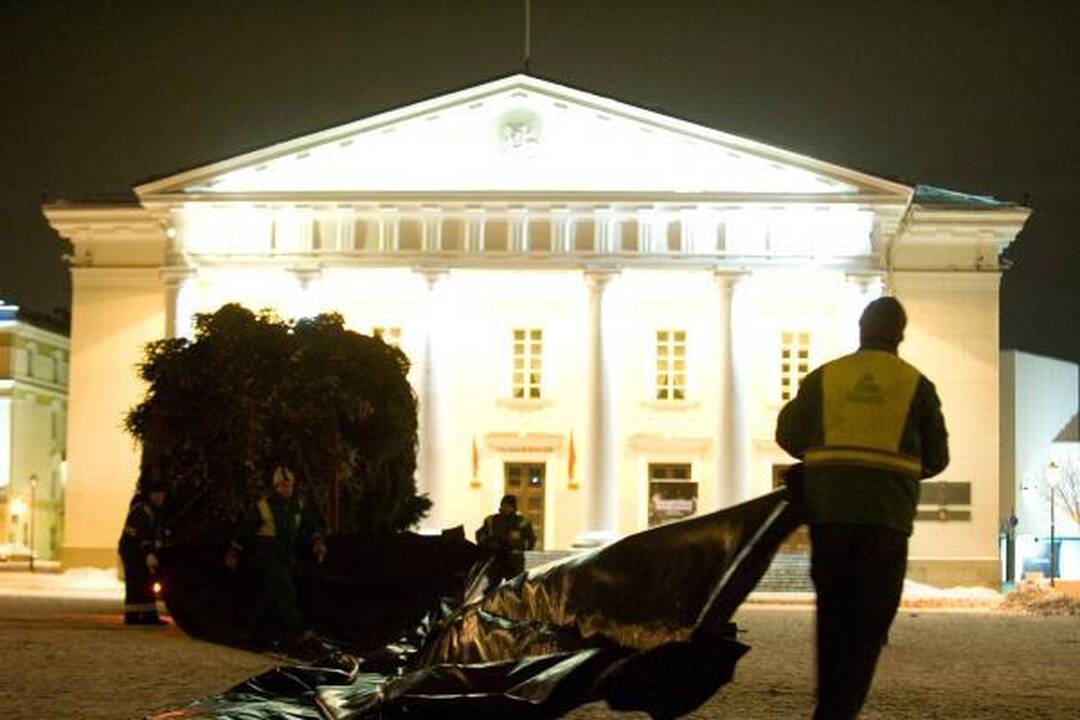Šiąnakt į Vilniaus Rotušės aikštę atkeliavo Kalėdų eglė