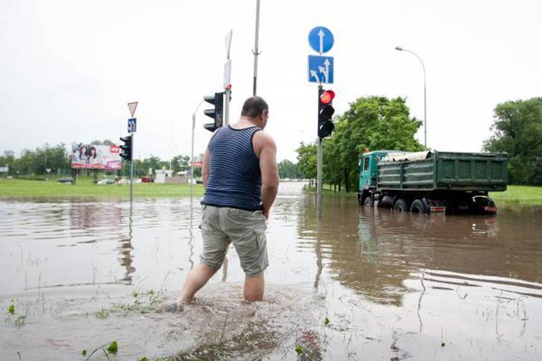 Liūtis ilgam paralyžiavo Vilniaus transportą