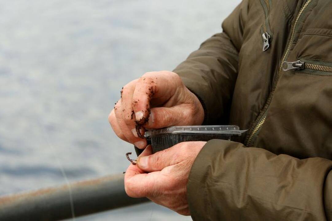 Vėsų pavasarį Nemunas žvejų netraukia   