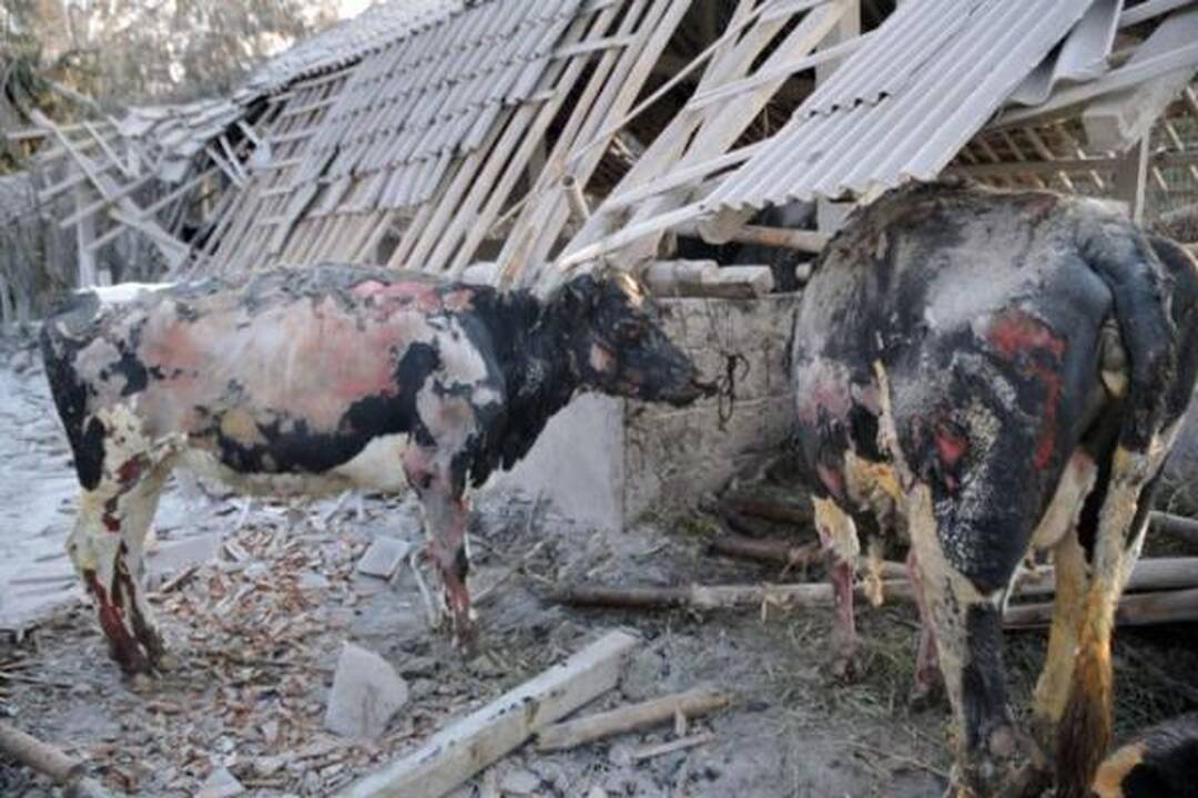 Indoneziją nusiaubęs cunamis nusinešė mažiausiai 272 gyvybes (atnaujinta)