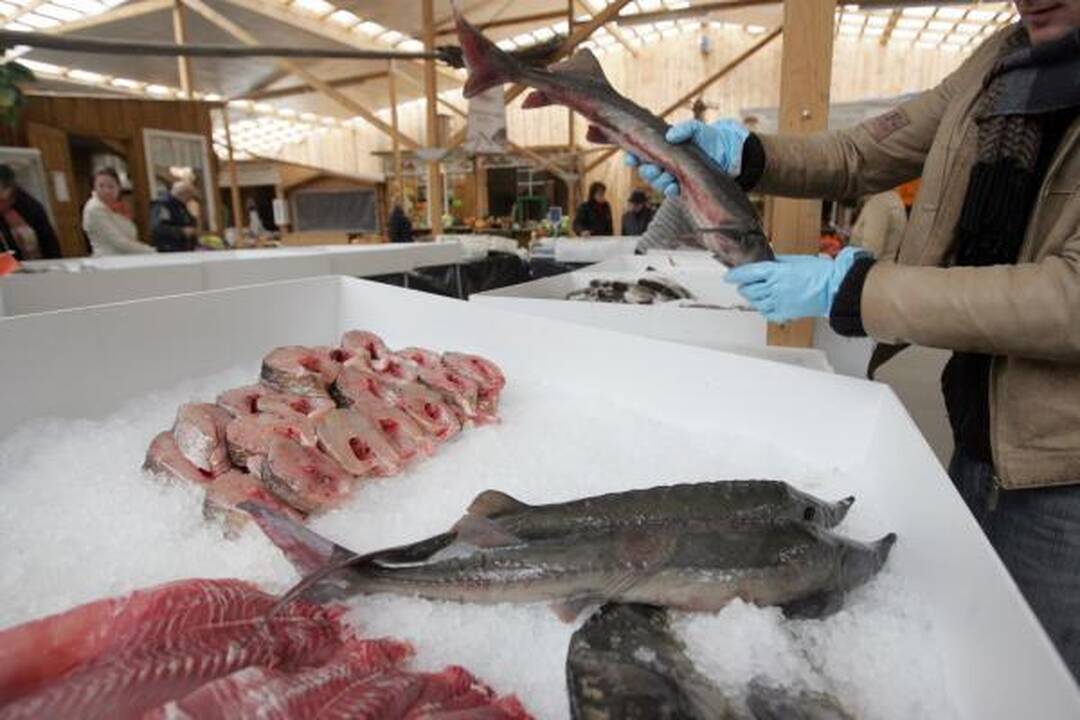 Turguje – dešimtys lietuviškos ir egzotiškos žuvies rūšių 