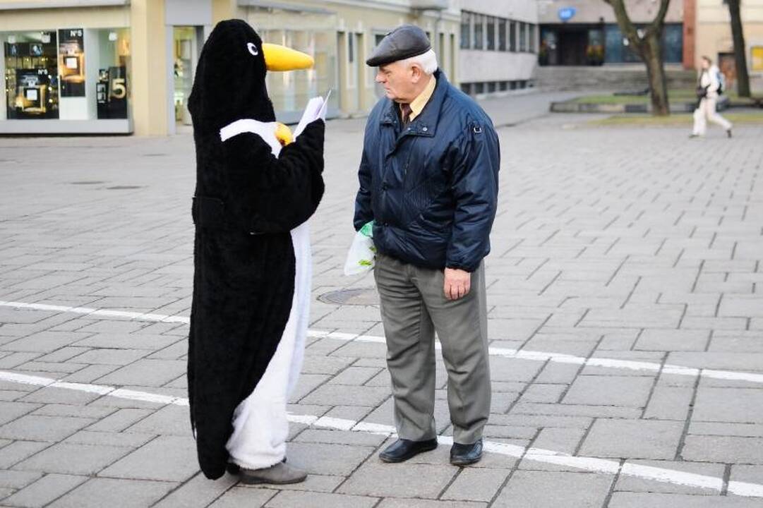 Pingvinai ir nykštukai miestiečiams dalijo šypsenas 