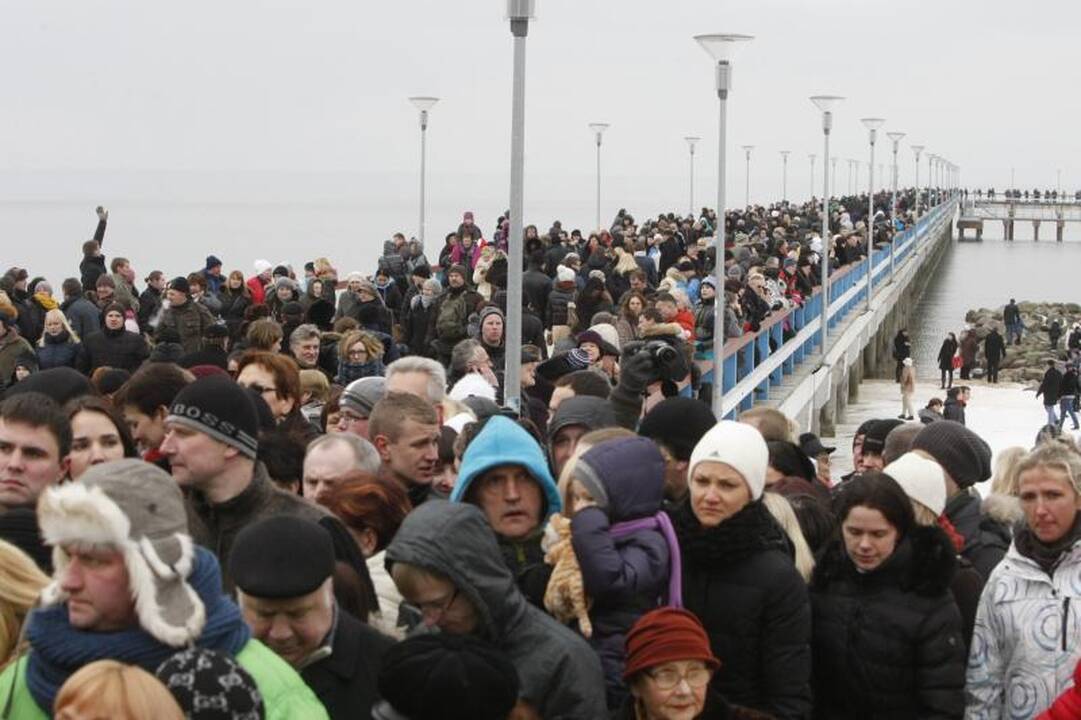 Ruonių maudynėse Palangoje – ir veteranai, ir naujokai