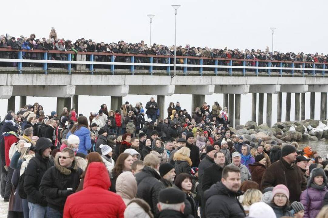 Ruonių maudynėse Palangoje – ir veteranai, ir naujokai