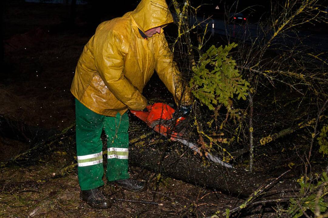 Vėtra Vilniuje ir apylinkėse didelių bėdų nepadarė (papildyta)