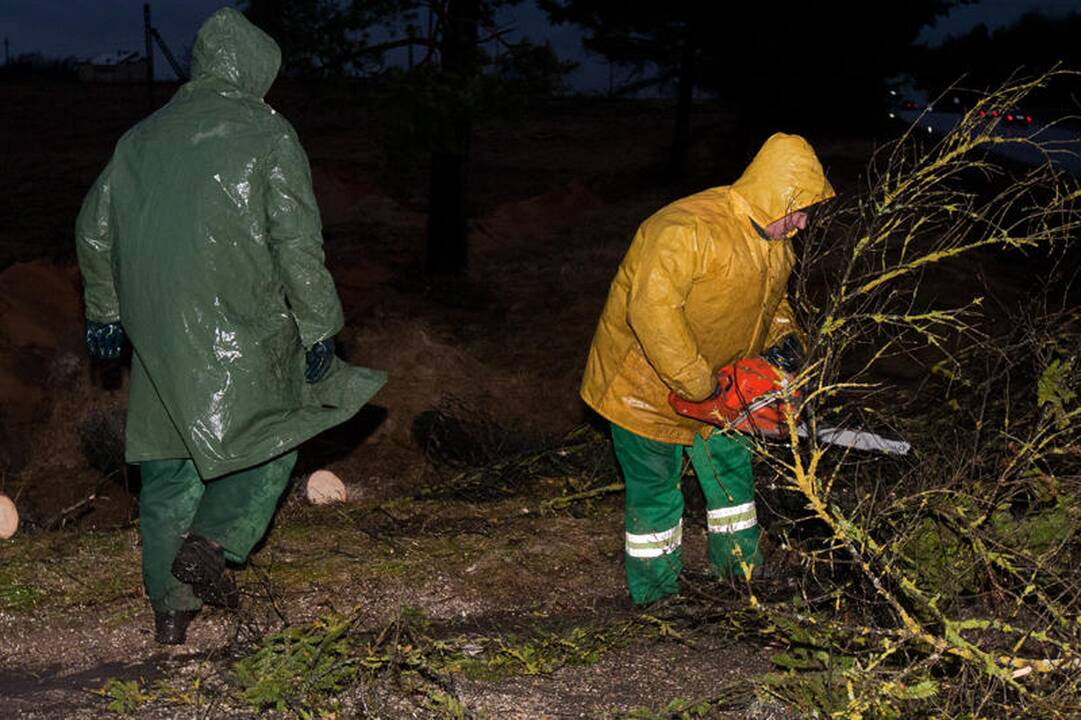 Vėtra Vilniuje ir apylinkėse didelių bėdų nepadarė (papildyta)