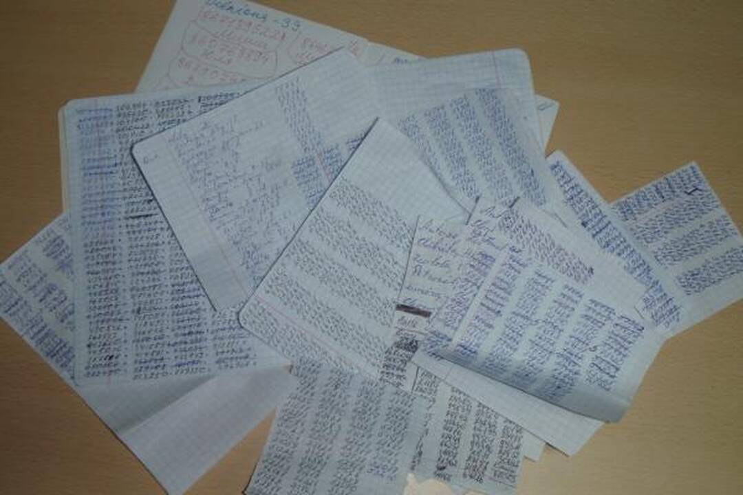 Telefoniniai sukčiai iš Marijampolės kolonijos savo grupuotę vadino „Alio, mama“