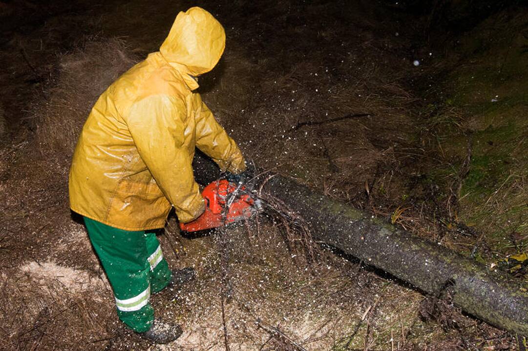 Vėtra Vilniuje ir apylinkėse didelių bėdų nepadarė (papildyta)
