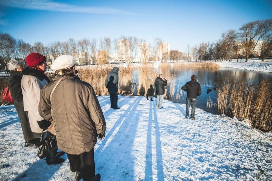 Trileris ant ledo tęsiasi: nutrijų šeimininko iki šiol – nė kvapo