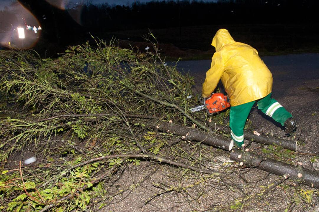 Vėtra Vilniuje ir apylinkėse didelių bėdų nepadarė (papildyta)