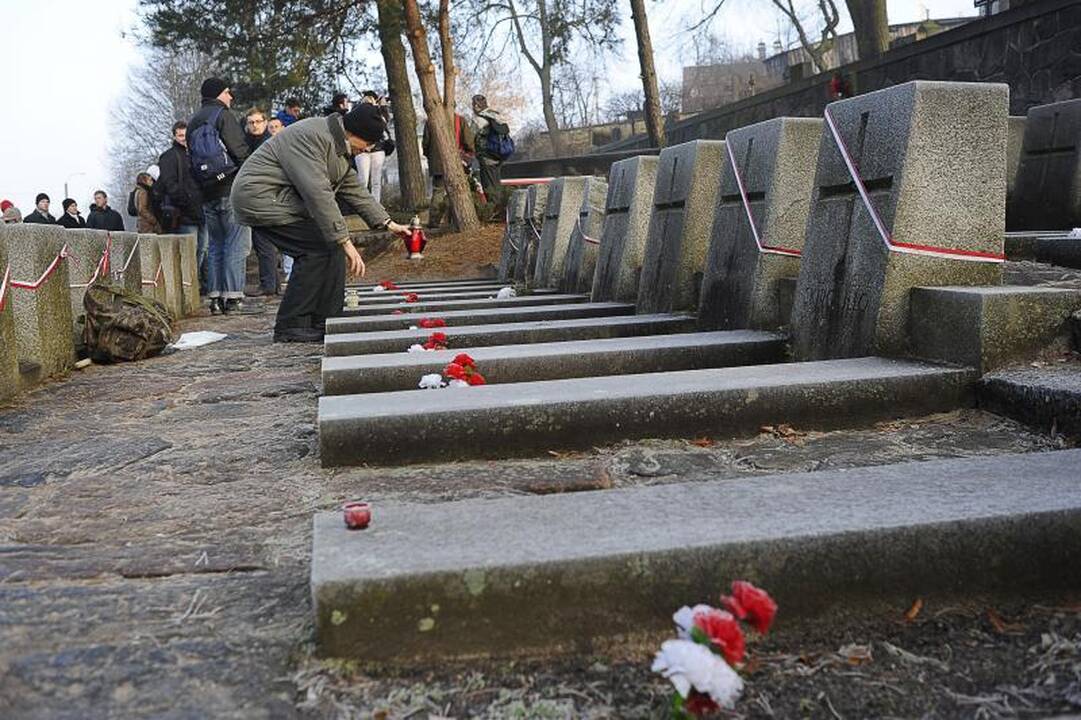 Lenkų nacionalistai: atvažiuojame taikiai (išskirtinis reportažas)
