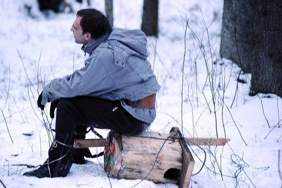 Panemunės šile pelėdų laukia nauji namai