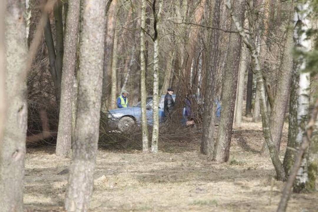 Klaipėdos poilsio parke virsta medžiai
