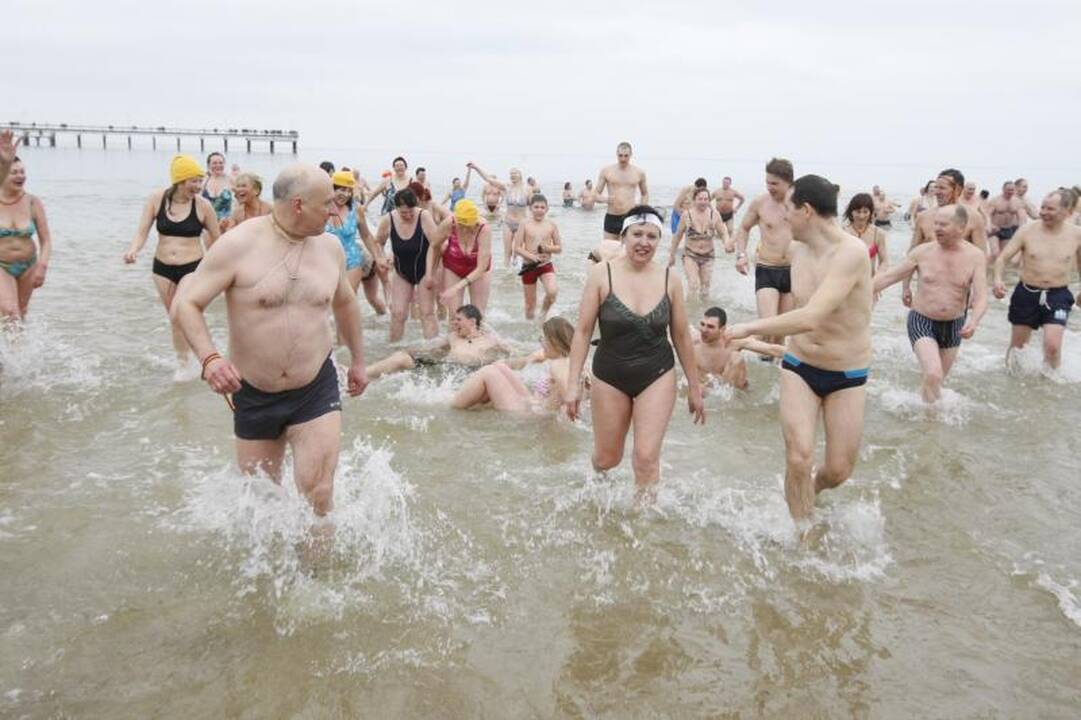 Ruonių maudynėse Palangoje – ir veteranai, ir naujokai