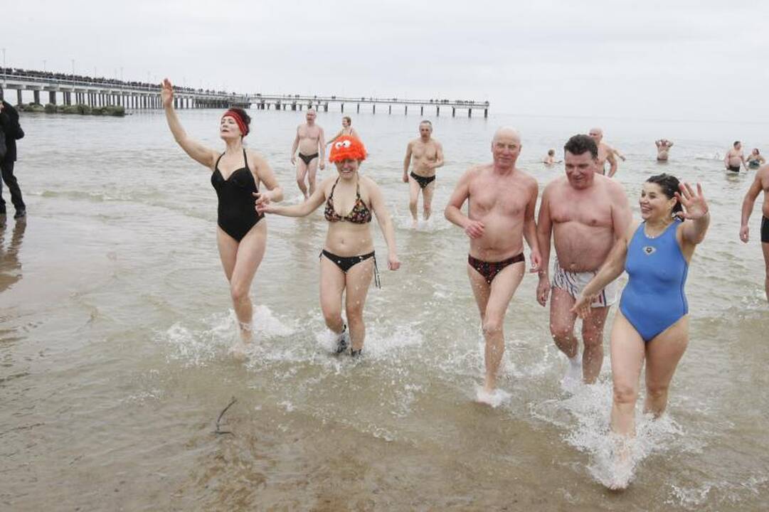 Ruonių maudynėse Palangoje – ir veteranai, ir naujokai