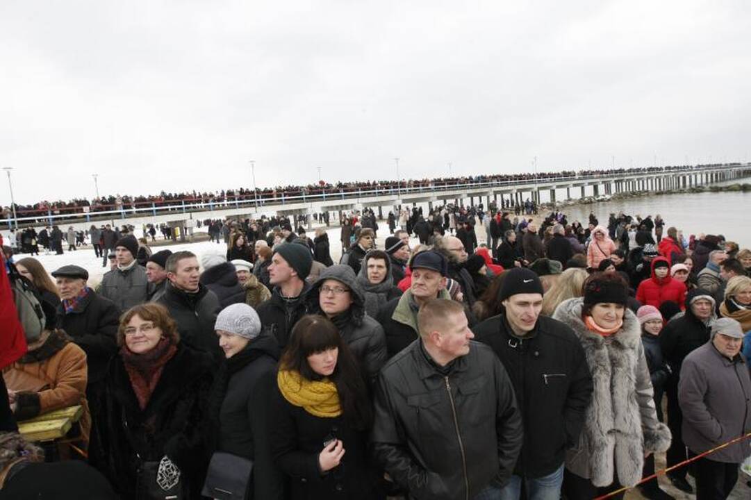 Ruonių maudynėse Palangoje – ir veteranai, ir naujokai