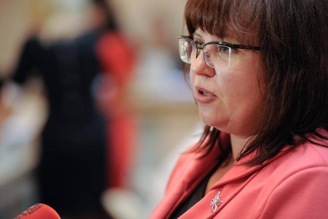 Politinė rokiruotė: D.Ratkelis ir A.Nesteckis apsimainė postais